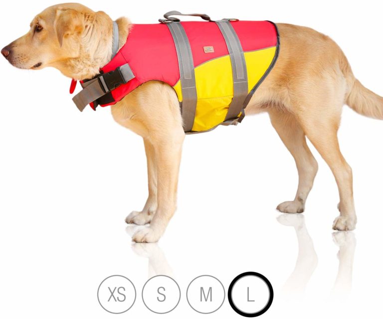 Schwimmweste Hund 3 top Modelle im Test 2021